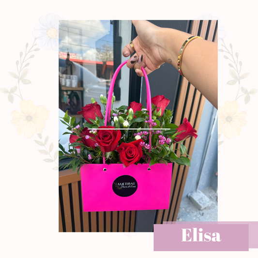 Elisa