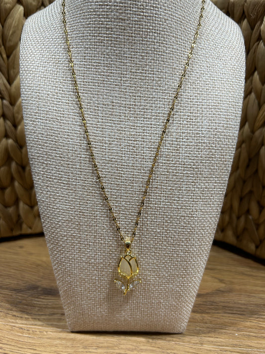 Collar Stainless Steel - Rosa