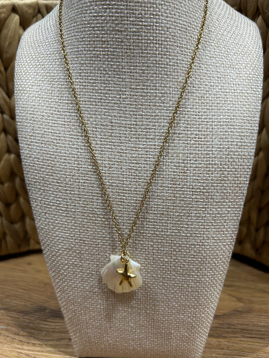 Collar Stainless Steel - Almeja y estrella de mar