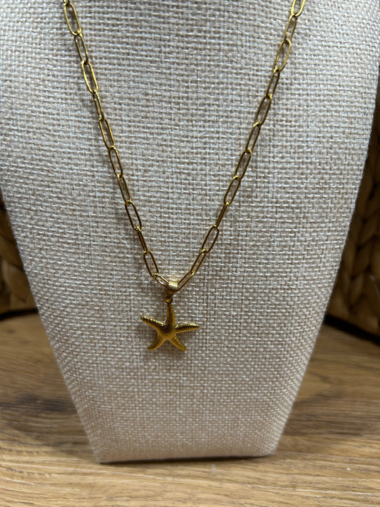 Collar Stainless Steel- Estrella de mar