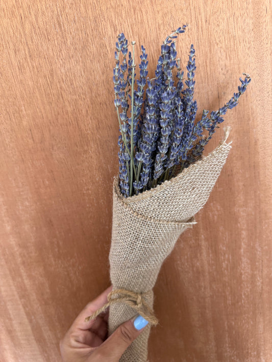 Lavanda seca
