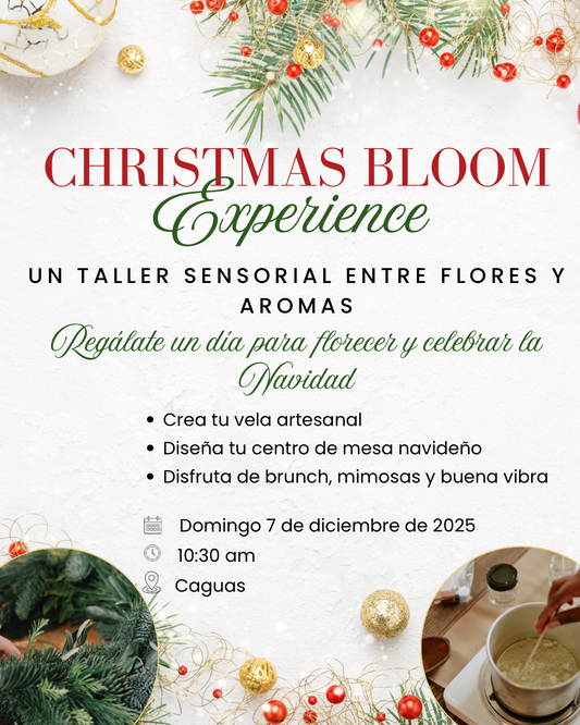 Depósito Taller Christmas Bloom Experience